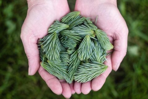 加油站的隐藏优惠，老司机都在这样省油钱