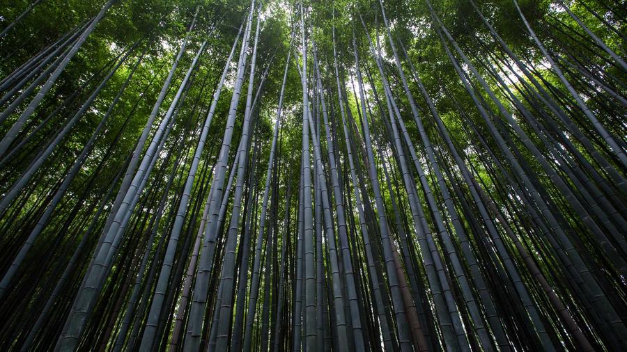 货运平台宣布下调司机抽成比例