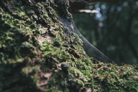 新能源重卡换电模式可行性观察